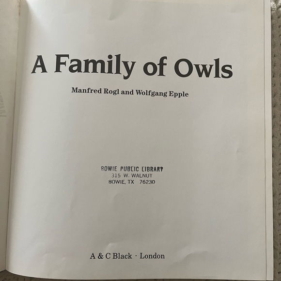🦉”A Family of Owls” Vintage Children’s Picture Book with Color Photographs🦉 - Picture 2 of 15